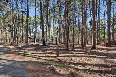 429 Wildwood Trl, Mt Vernon, TX 75457 - Photo 16