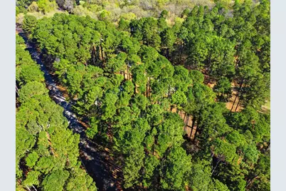 429 Wildwood Trl, Mt Vernon, TX 75457 - Photo 20