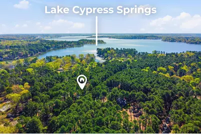 429 Wildwood Trl, Mt Vernon, TX 75457 - Photo 4