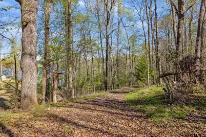 14216 East Ridge Road, Arp, TX 75750 - Photo 2