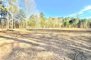 19874 FM345, Arp, TX 75750 - Photo 1