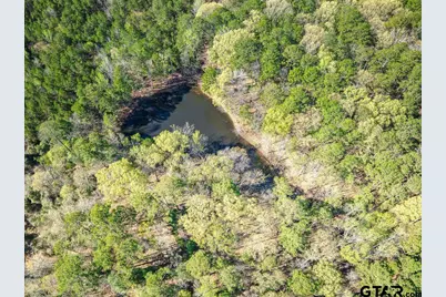1383 Fm 3266, Palestine, TX 75801 - Photo 16