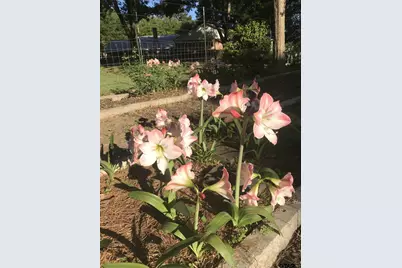 1383 Fm 3266, Palestine, TX 75801 - Photo 46