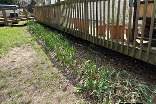 167 Cr 2244, Mineola, TX 75773 - Photo 22