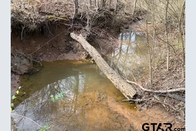 000 County Road 2280, Arp, TX 75750 - Photo 30