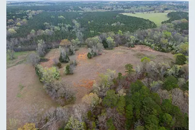 000 County Road 2280, Arp, TX 75750 - Photo 4