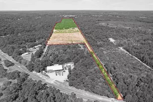 3472 Fm 2869, Hawkins, TX 75765 - Photo 4