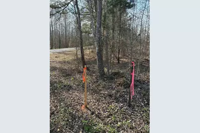 Tbd Cr 244 Tract 2, Overton, TX 75684 - Photo 2