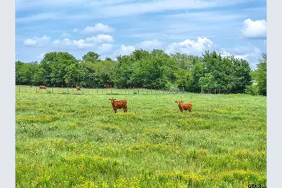 Tract 9 County Road 3415, Jacksonville, TX 75766 - Photo 8