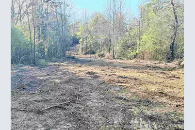 Tbd Fm 345, Arp, TX 75750 - Photo 1