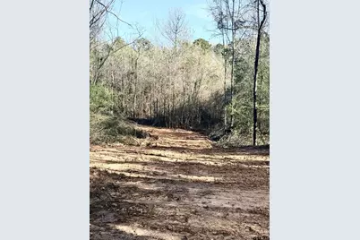 Tbd Fm 345, Arp, TX 75750 - Photo 4