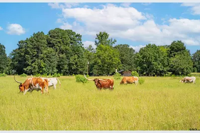 14284 Tx 322, Kilgore, TX 75662 - Photo 16