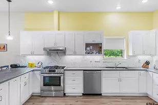 1461 Vz County Road 4607, Ben Wheeler, TX 75754 - Photo 14