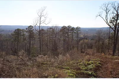 Tbd Cr 1627-34 Acres, Rusk, TX 75785 - Photo 8