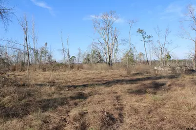 Tbd Cr 1627-34 Acres, Rusk, TX 75785 - Photo 2