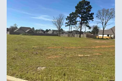 12105 Cotton St., Flint, TX 75762 - Photo 2