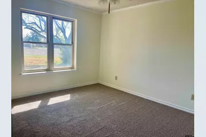 1624 Cr 1560, Alba, TX 75410 - Photo 14