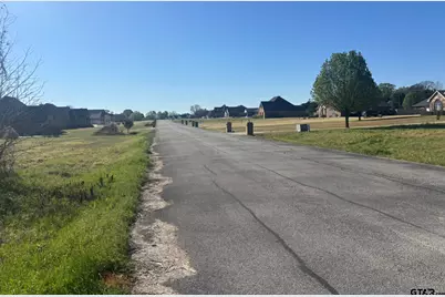 Tbd Lot 19 Legacy Park, Pittsburg, TX 75686 - Photo 2