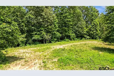 14325 County Road 2141, Troup, TX 75789 - Photo 42