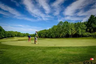 161 Pine Branch Glen, Holly Lake Ranch, TX 75765 - Photo 38