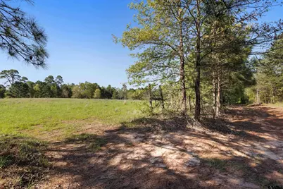 Tbd Fm 852, Winnsboro, TX 75494 - Photo 10