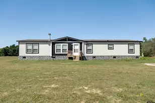 1337 An County Road 451, Palestine, TX 75803 - Photo 1