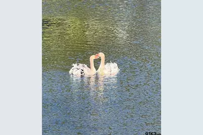 11011 Fm 2710, Lindale, TX 75771 - Photo 14