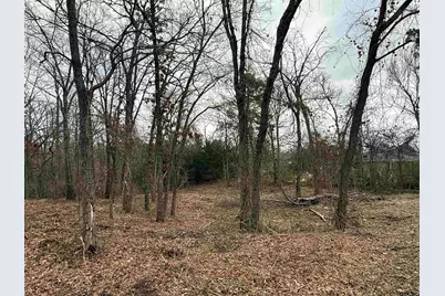 Tbd Florence St. Lot 8, Grand Saline, TX 75140 - Photo 2