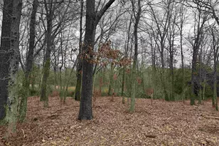 Tbd Florence St Lot 8, Grand Saline, TX 75140 - Photo 1