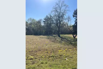 Tbd N Main St, Winnsboro, TX 75494 - Photo 8