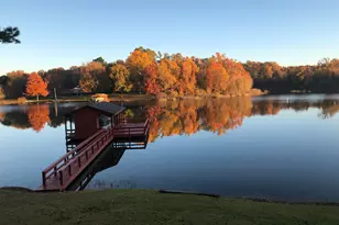 343 N Cr 2938, Pittsburg, TX 75686 - Photo 44