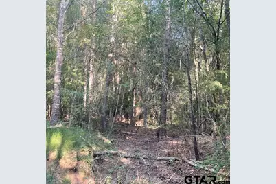 Tbd County Road 2880, Mineola, TX 75773 - Photo 12