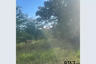 Tbd County Road 2880, Mineola, TX 75773 - Photo 30
