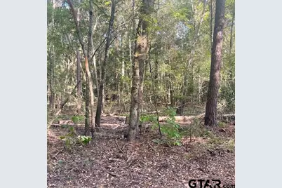 205 County Road 2880, Mineola, TX 75773 - Photo 20