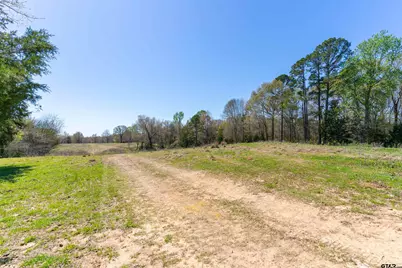 567 County Road 2880, Mineola, TX 75773 - Photo 8