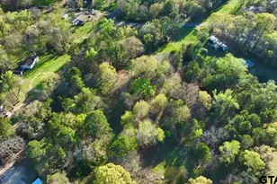 10933 County Rd 384, Tyler, TX 75708 - Photo 4