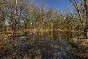 884 Co Rd 2950, Alba, TX 75410 - Photo 24