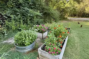 10401 County Rd 137, Flint, TX 75762 - Photo 18