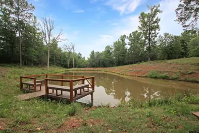 782 Rosie Wady Rd, Gladewater, TX 75647 - Photo 34