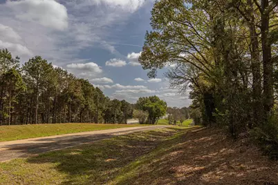 11810 County Rd 3101, Winona, TX 75792 - Photo 6