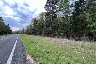 Tbd Lot 3 Fm 1519, Leesburg, TX 75451 - Photo 1