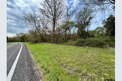 Tbf Lot 5 Fm 1519, Leesburg, TX 75451 - Photo 2