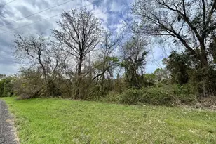 Tbf Lot 5 Fm 1519, Leesburg, TX 75451 - Photo 1