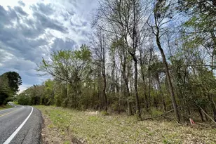 Tbd Lot 7 Fm 1519, Leesburg, TX 75451 - Photo 1