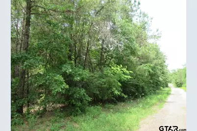 3.54 Ac Cr 352, Palestine, TX 75803 - Photo 6