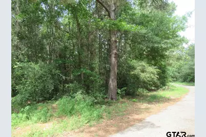 3.54 Ac Cr 352, Palestine, TX 75803 - Photo 2