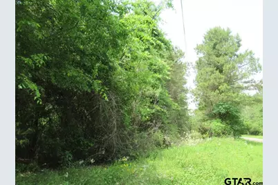 3.54 Ac Cr 352, Palestine, TX 75803 - Photo 4