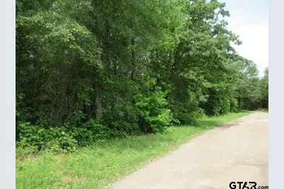 3.54 Ac Cr 352, Palestine, TX 75803 - Photo 1