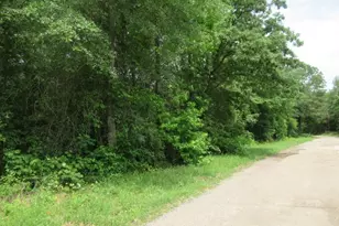 3 54 Ac Cr 352, Palestine, TX 75803 - Photo 1