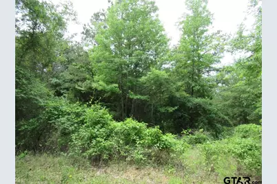 3.54 Ac Cr 352, Palestine, TX 75803 - Photo 10